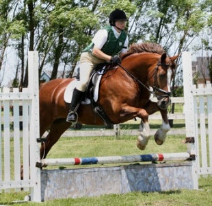 Equipix